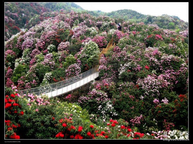 初中历史如何学习:MK电竞(图2) MK电竞