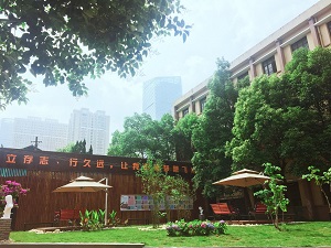 【MK电竞】实小西区全体教师深入学习《中国共产党农村工作条例》(图1) MK电竞