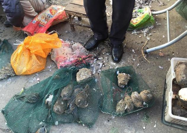 MK电竞|*
这门第界顶级学术刊物 为何一连三天向中国致歉?(图2) MK电竞