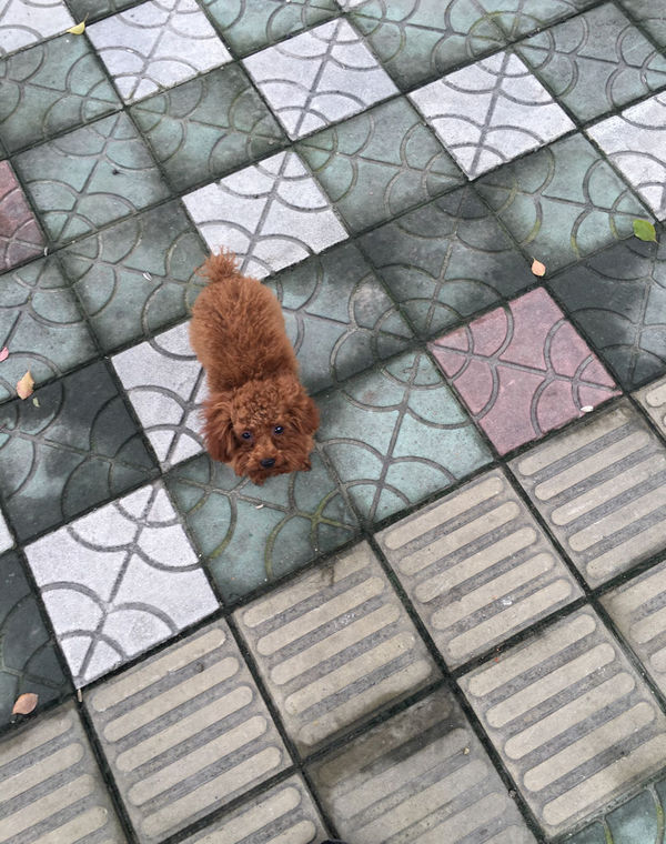 MK电竞-王阳明经典名言和相关故事(图2) MK电竞