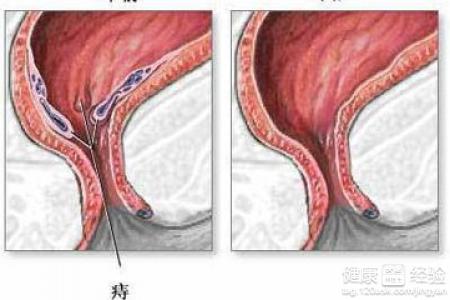 郑州市实验幼儿园党总支学习《习近平谈治国理政》:MK电竞(图2) MK电竞