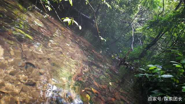 MK电竞-2014年度十大争议广告(图4) MK电竞