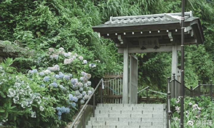 MK电竞:
「有奖征集」渔乐谷广告词有奖征集 赢3000元现金大奖(图3) MK电竞