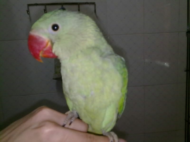 
那是家大影视文化有限公司 学会这几招 五分钟起一个公司好名