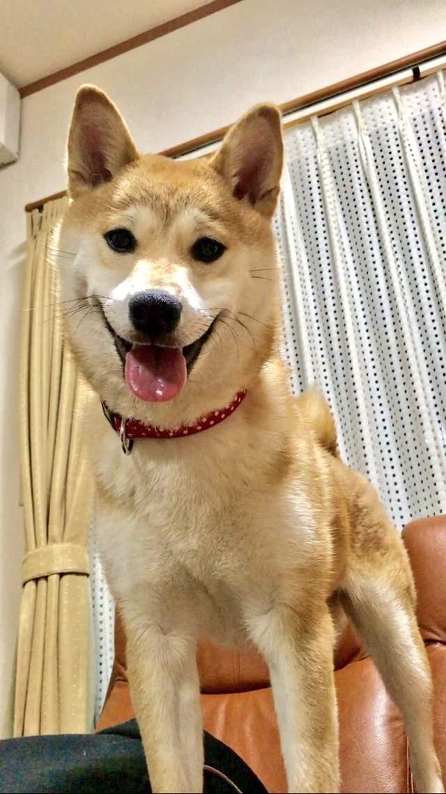 MK电竞：连如来佛祖都害怕的妖怪有哪些？