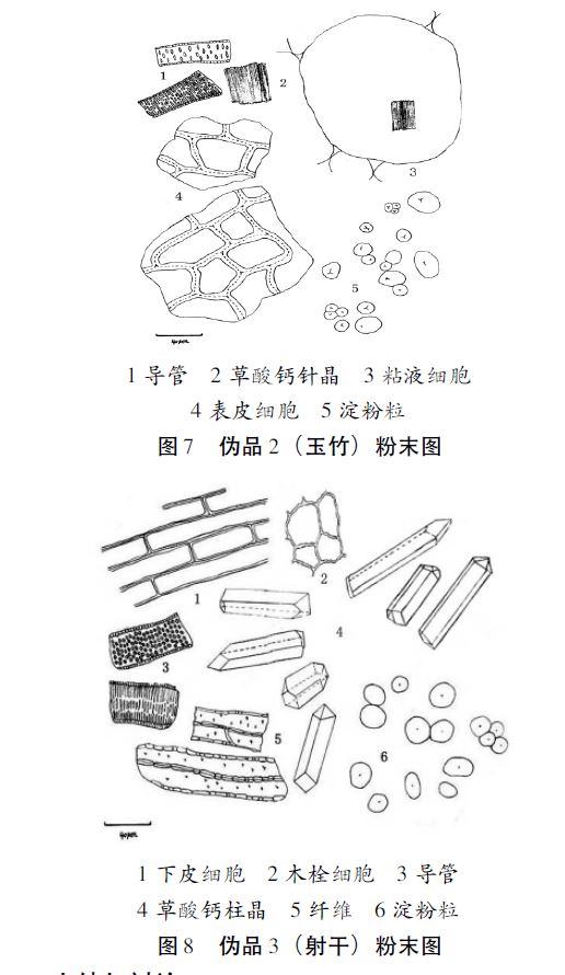 青羊区小学英语教研员刘文可工作坊“玩转绘本”专题活动在实小西区举行“MK电竞”(图1) MK电竞