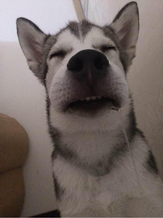 湖北孝感发生4.9级地震 武汉震感强烈【MK电竞】(图3) MK电竞