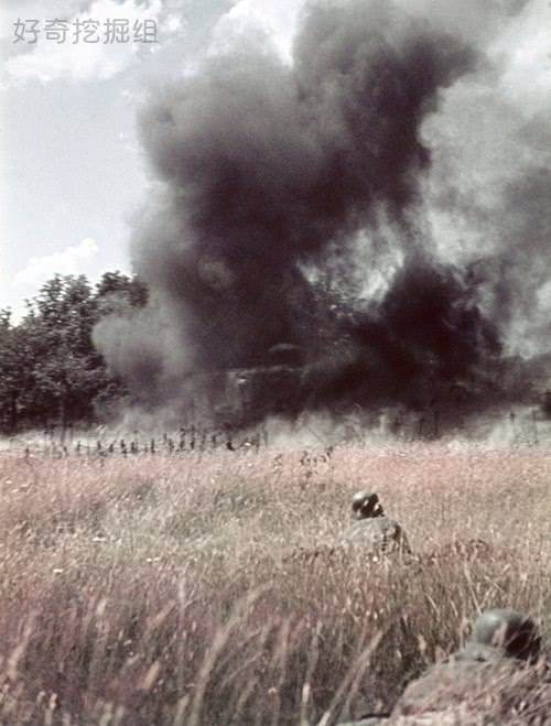 花样娱乐 玩转品牌----- 2016电通安吉斯集团‧乐视娱乐营销论坛武汉站【MK电竞】(图2) MK电竞