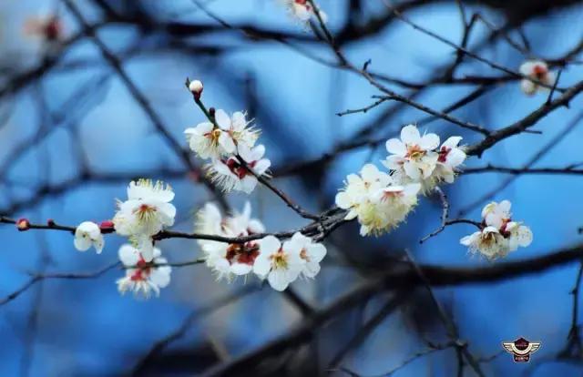 MK电竞:怎样让孩子喜欢上你不再是难题,早教(图2) MK电竞