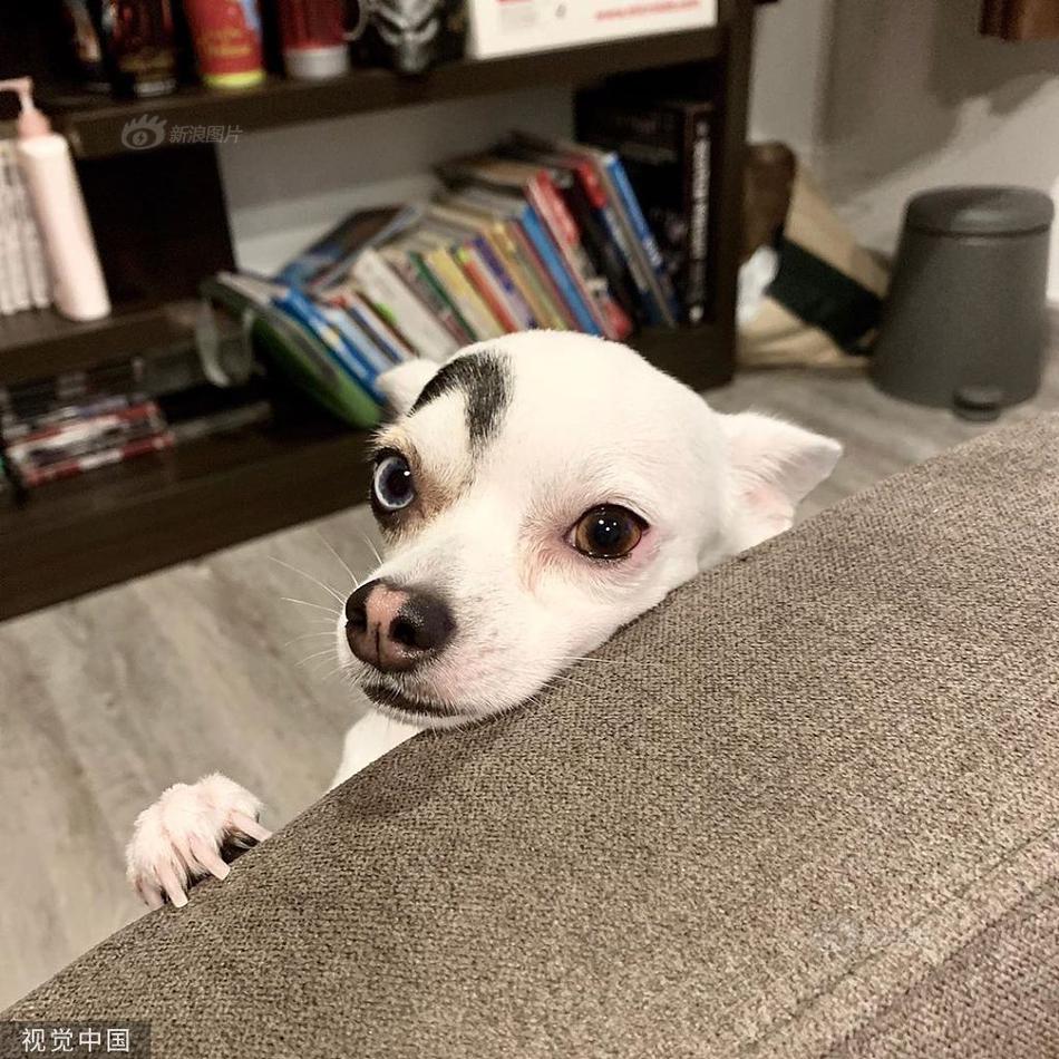 未来可期不说再见荷花池小学举行2019届毕业典礼-MK电竞(图1) MK电竞