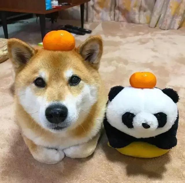 MK电竞